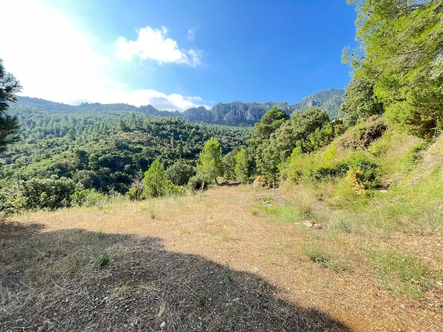 Casa o xalet en venda a CONCA DE SANT JULIA, Alfara de Carles