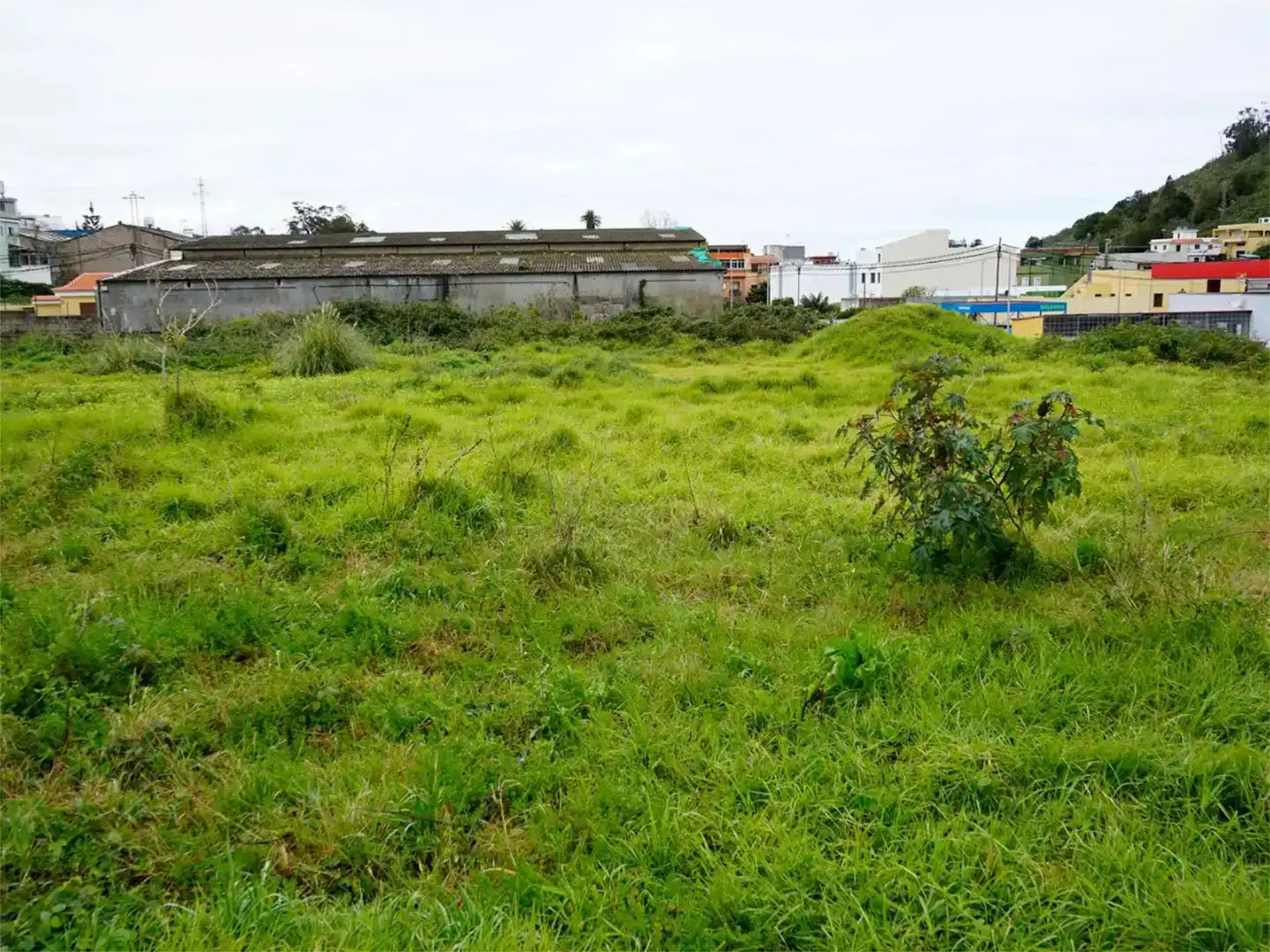 Industrial land for sale in Tacoronte