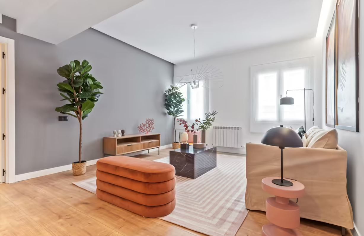 Living room of Flat to rent in  Madrid Capital  with Air Conditioner, Furnished and Pets allowed