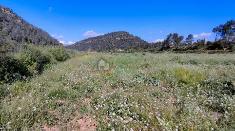 Photo 4 of House or chalet for sale in Marçà, Tarragona