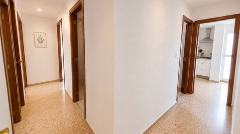 Foto 4 de Pis de lloguer a Valdepasillas - La Paz - Huerta Rosales, Badajoz Capital