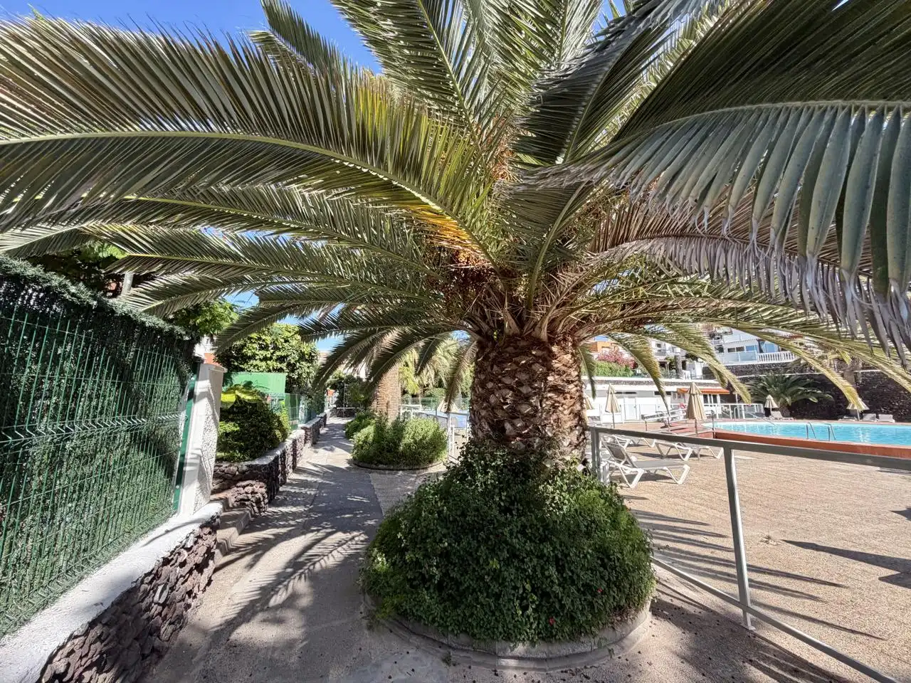 Maison avec terrasse à vendre à Calle Doctor Agustín Millares Carlo, imagen 6