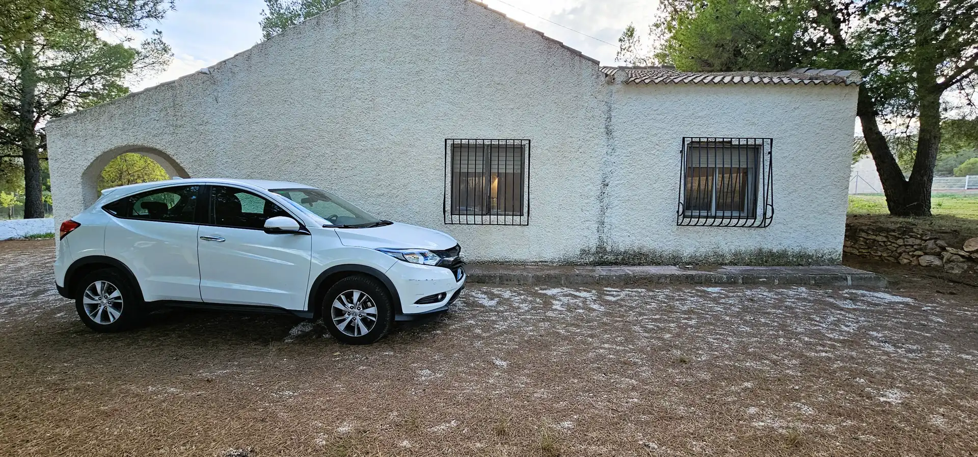 Chalet con jardín en venta en Aledo, imagen 19
