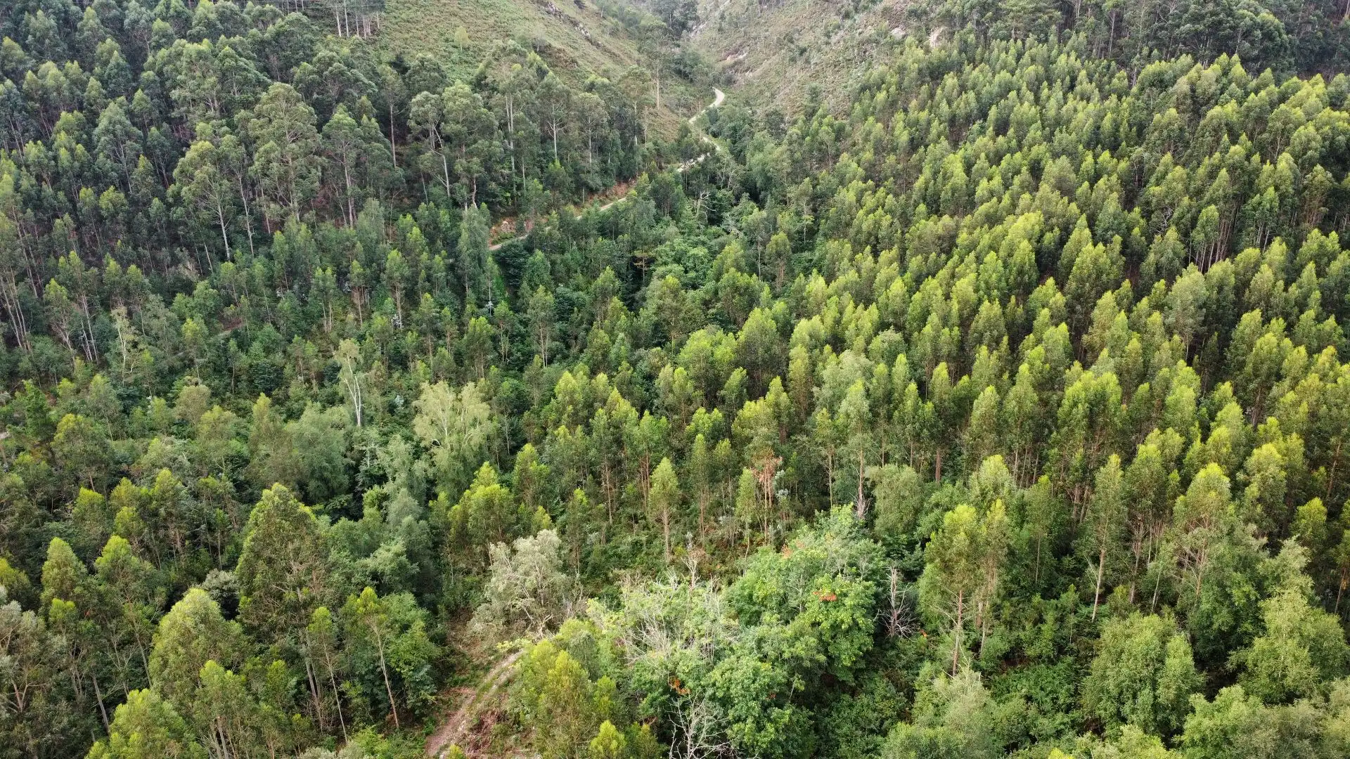Terreno rustico in vendita a Pría - Nueva-Hontoria - Naves, imagen 15