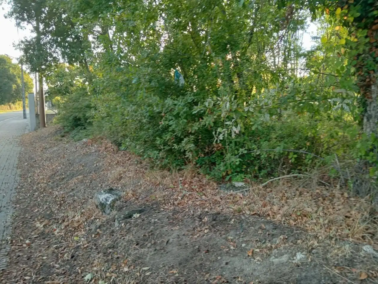 Terreni e lotti in vendita a Nogueira de Ramuín, imagen 2