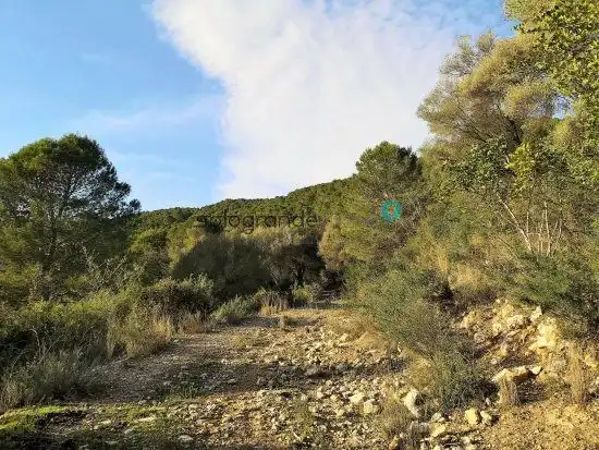Casa rústica en venda a Gaucín, imagen 2