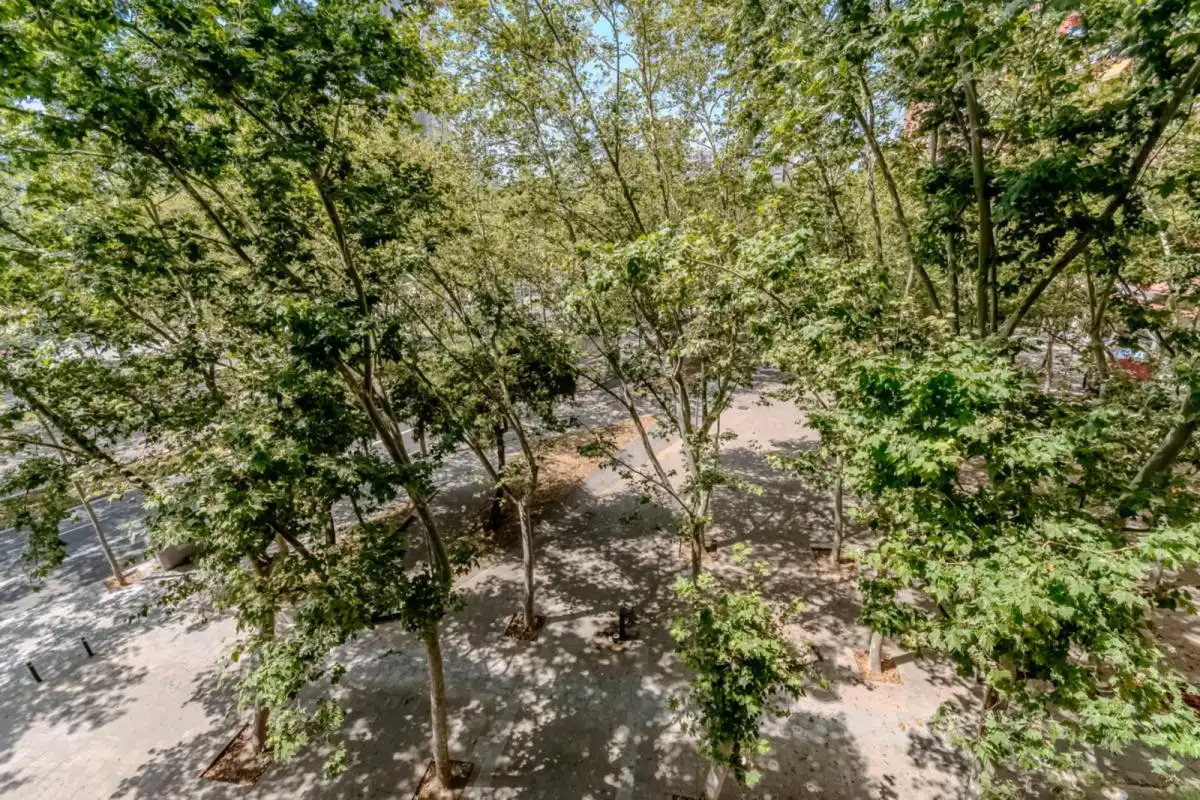 Vista exterior de Apartament per a compartir en Barcelona amb Aire condicionat, Calefacció i Moblat