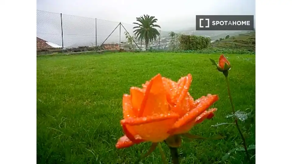 Jardín de Apartamento para compartir en Santa Úrsula con Aire acondicionado, Terraza y Amueblado