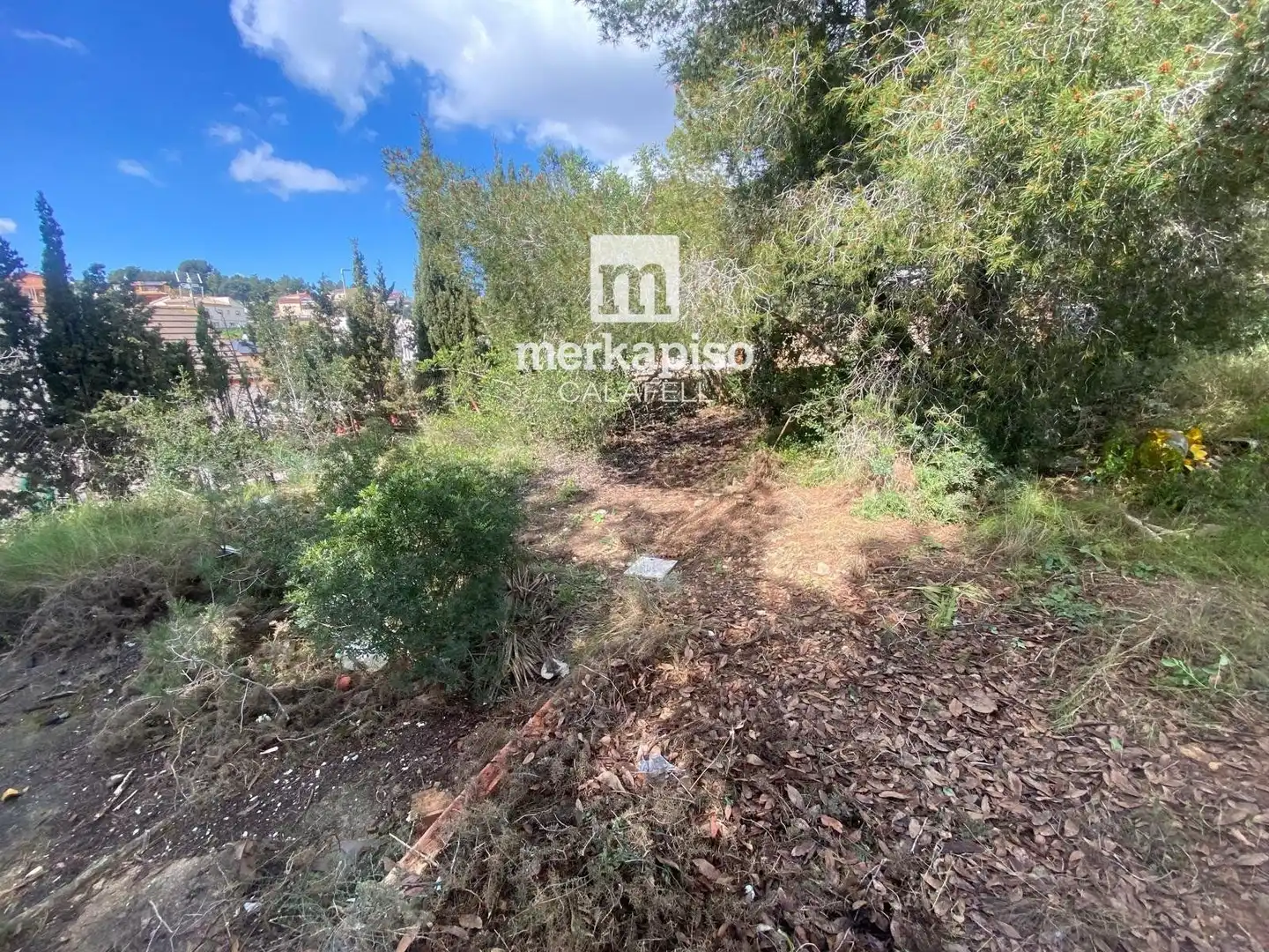 Terreny rústic en venda a Valldemar - Montmar, imagen 11