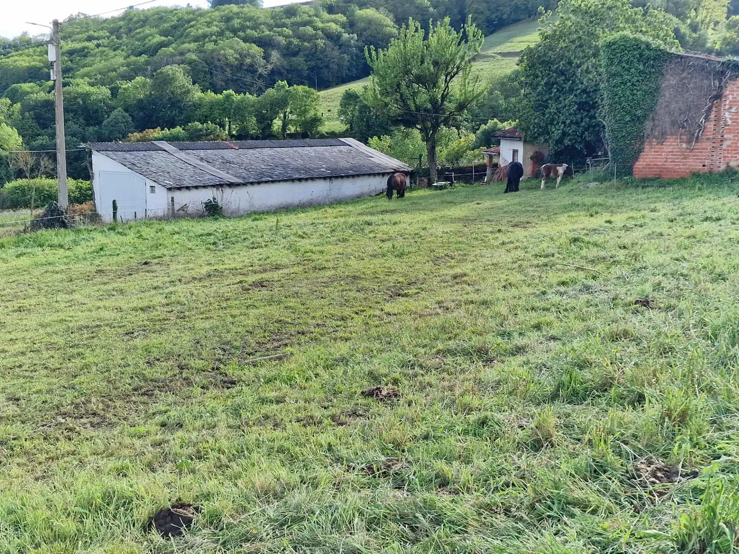 Finca rústica en venta en Tineo con Balcón y Piscina comunitaria