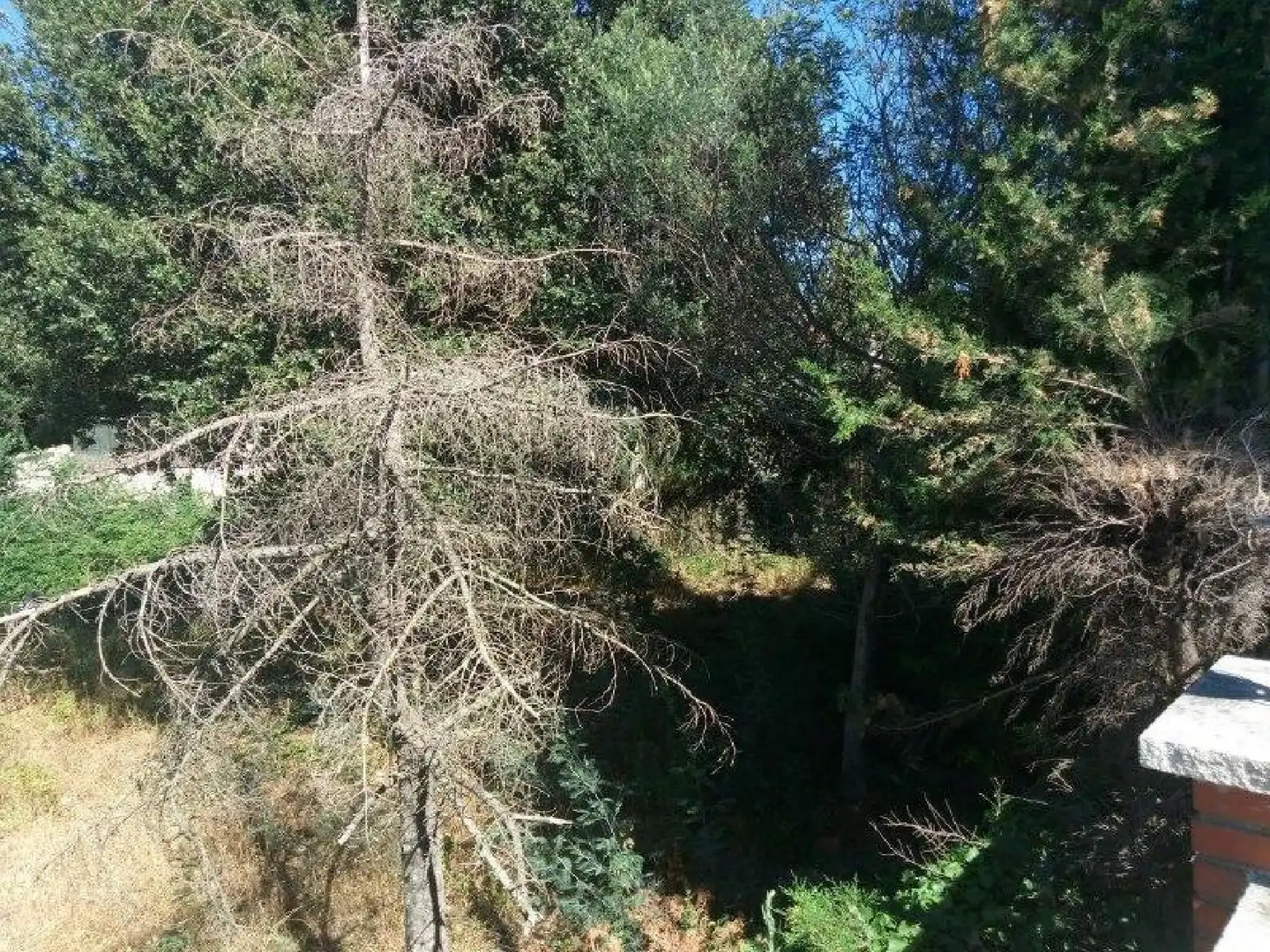 Grundstücke und Bauplätze zum Verkauf in Niàgara Parc - Àgora Parc, imagen 10