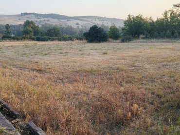 Terreno rustico in vendita a Coín