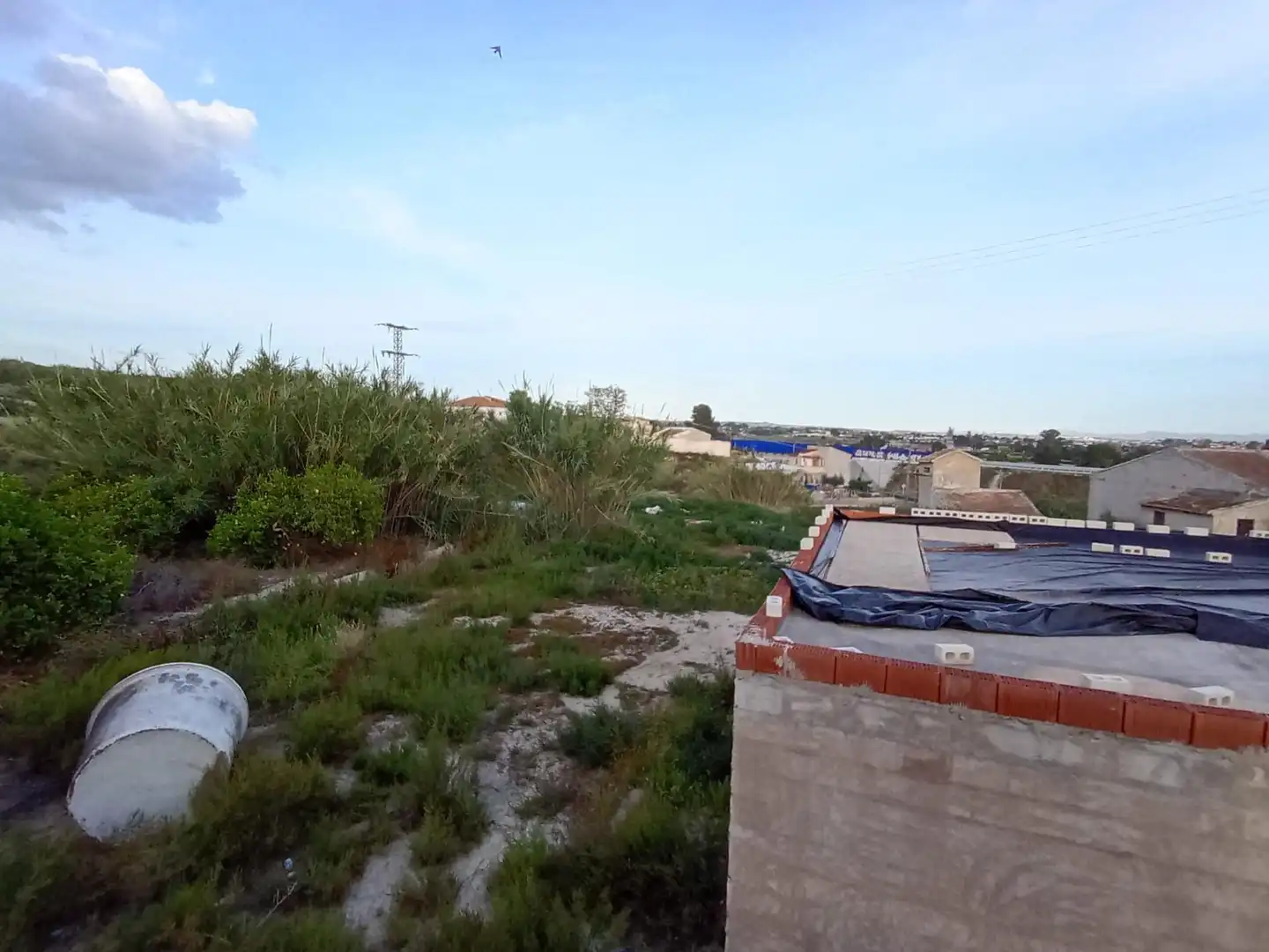Rural land for sale in Archena, imagen 15