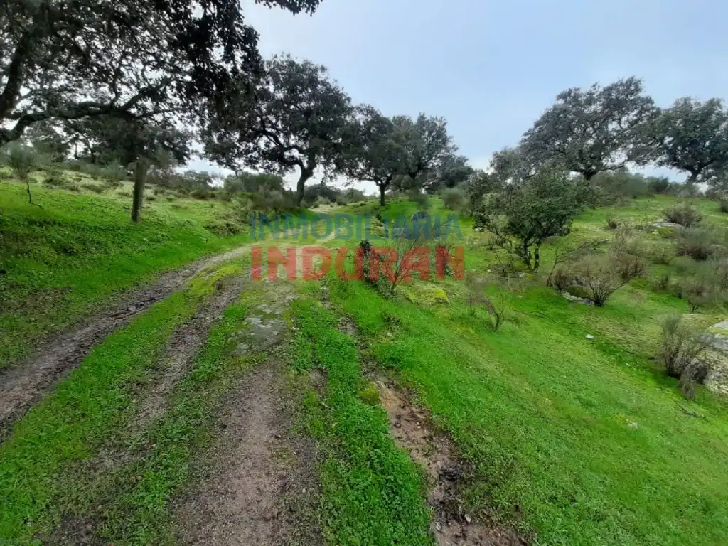 Finca rústica en venta en Millanes