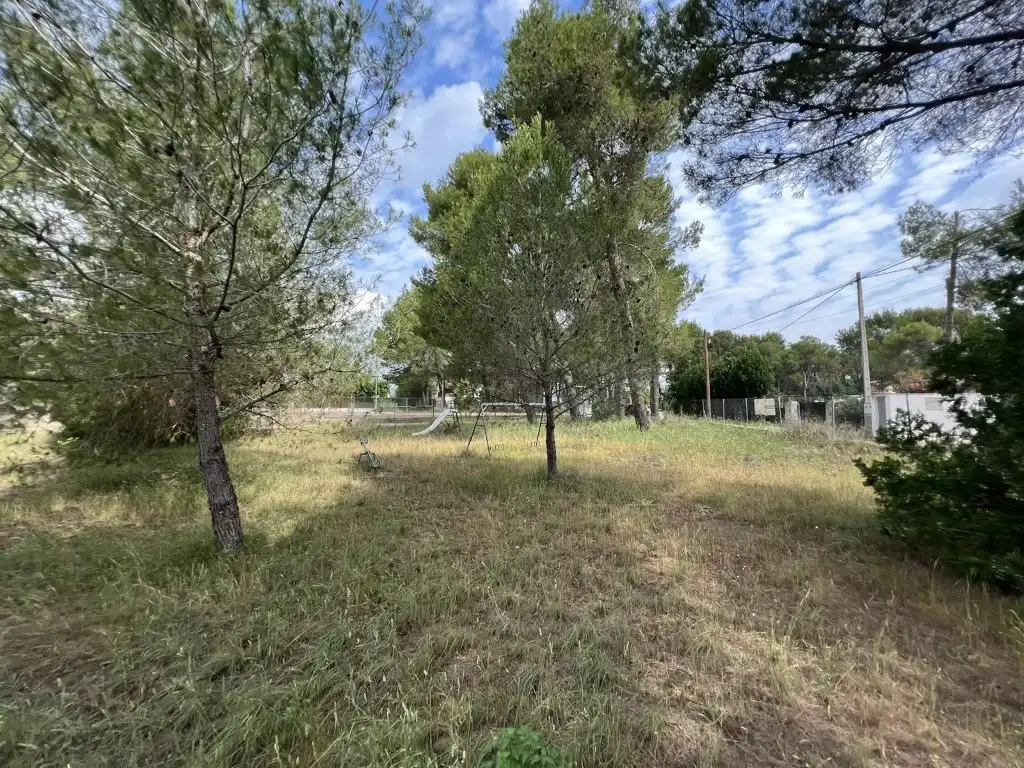 Terreny residencial en venda a Alberic, imagen 48