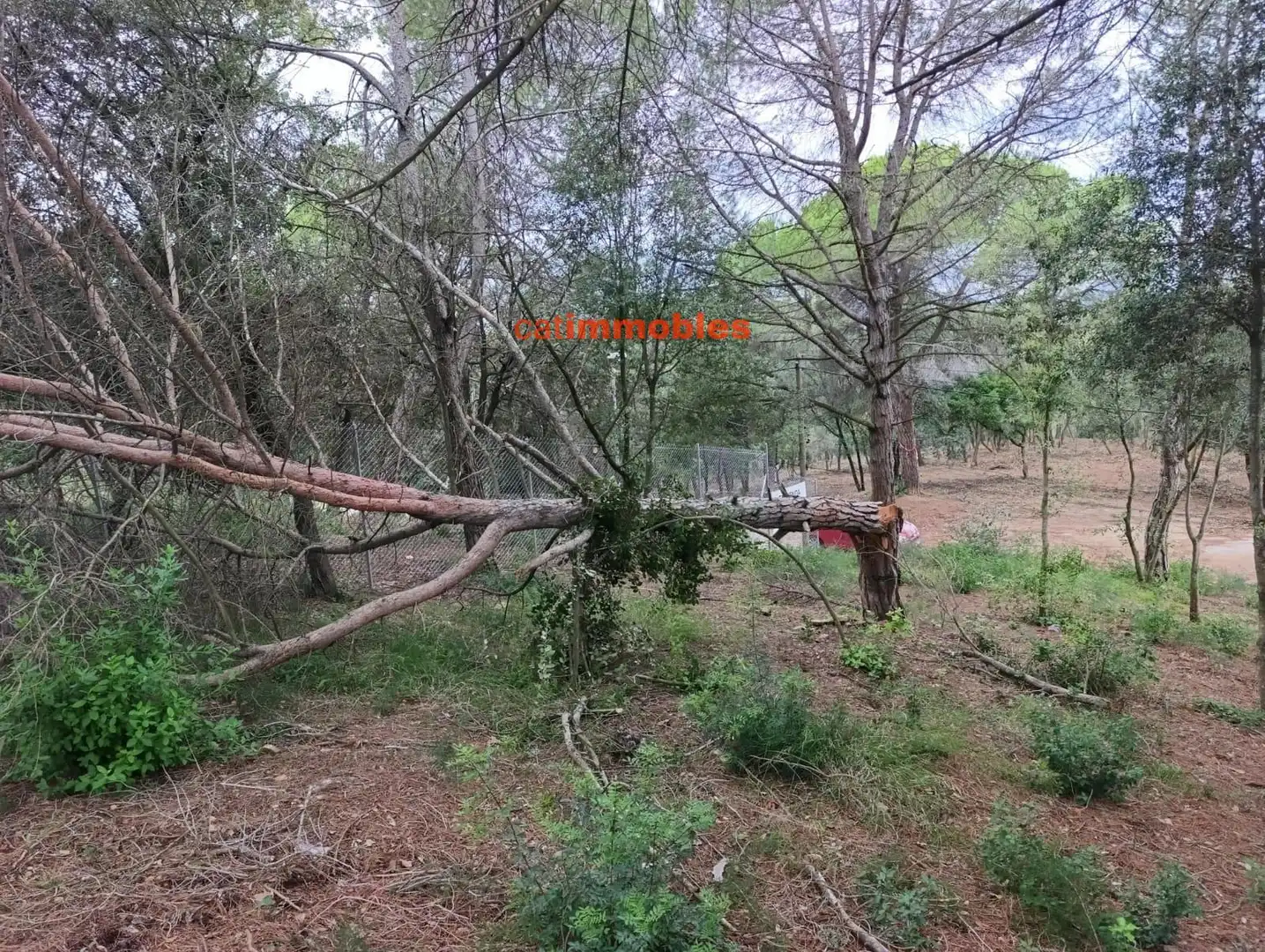Terreny residencial en venda a Rosa Mariné, imagen 22