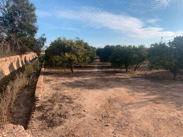 Terreno en Venta en Partida Puntarro, 1A en Alfara del Patriarca