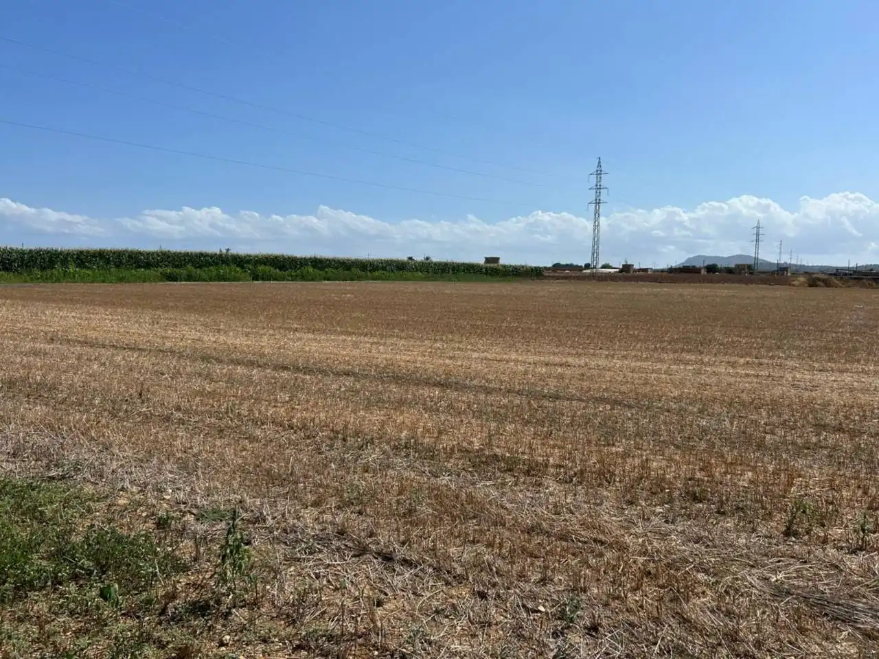 Wohnbaugrundstück zum Verkauf in Sa Pobla, imagen 5