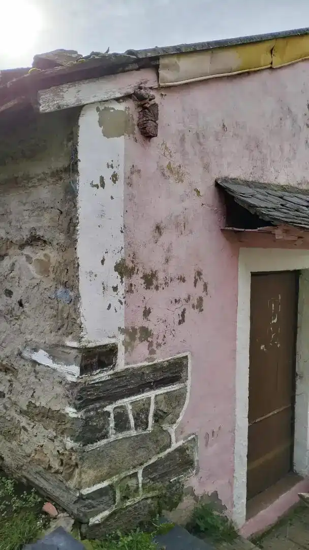 Vista exterior de Casa o chalet en venta en Allande
