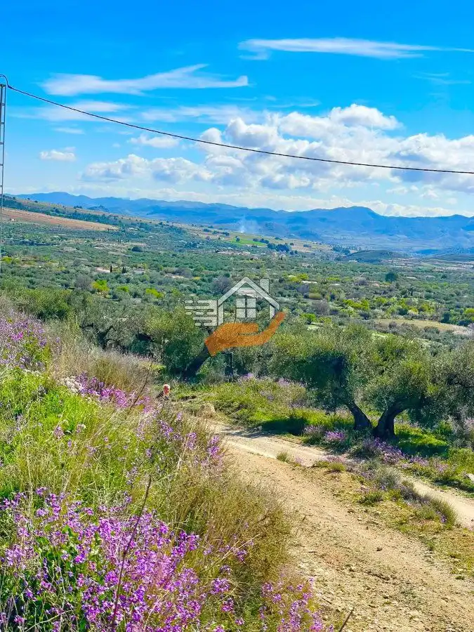 Terrenos y solares en venta en Vélez-Blanco, imagen 9