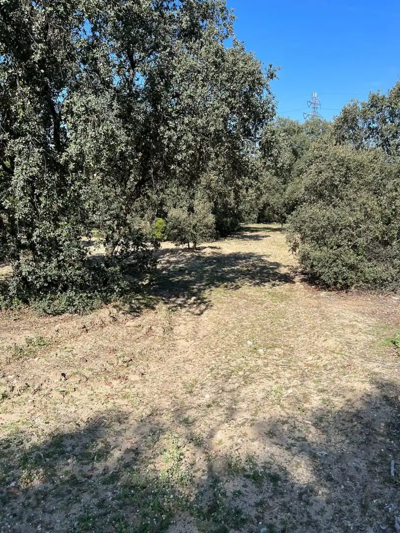 Terreny residencial en venda a Moncloa - Aravaca, imagen 10