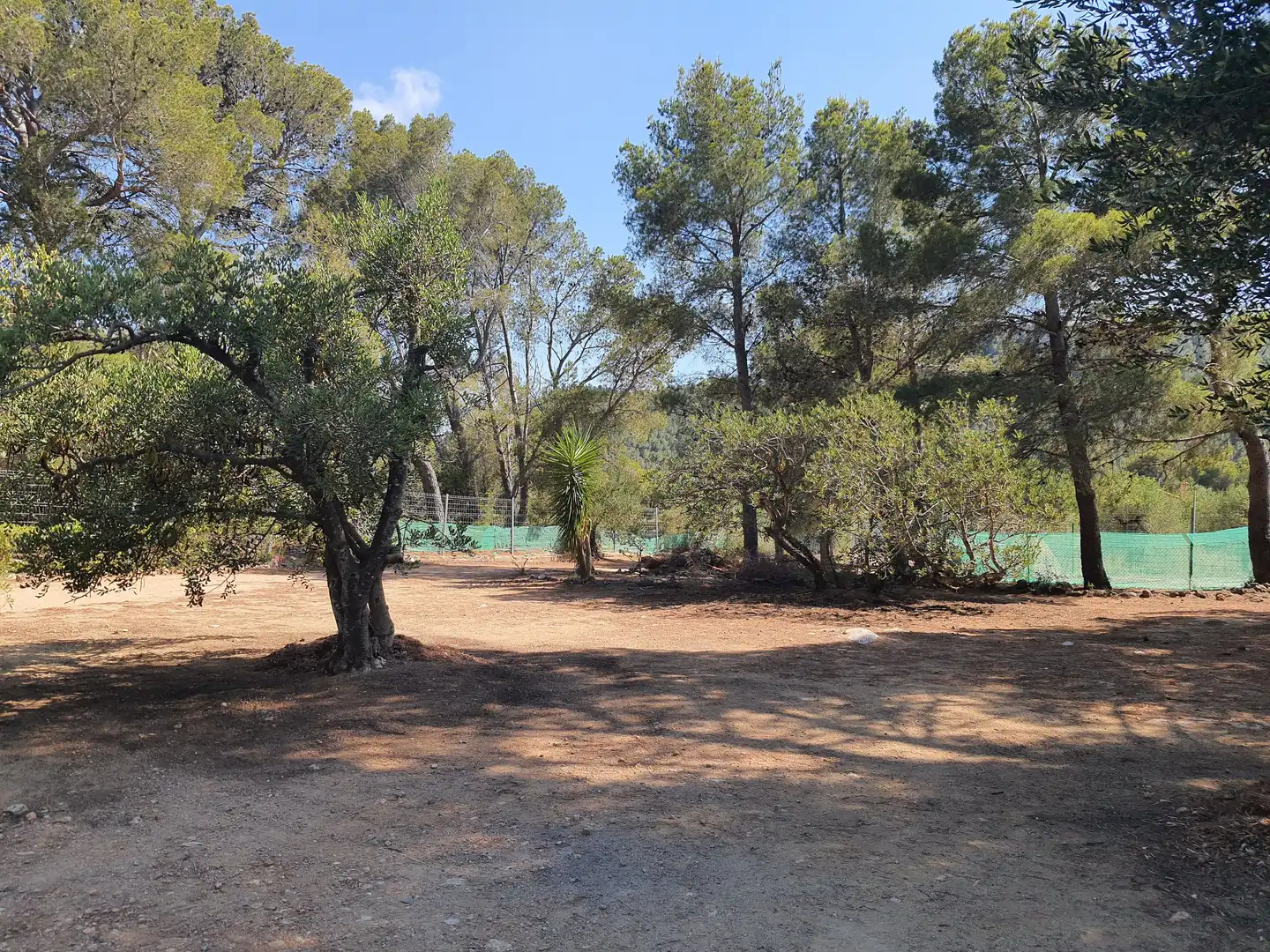 Terreno rústico en venta en Bonmont Terres Noves, imagen 2