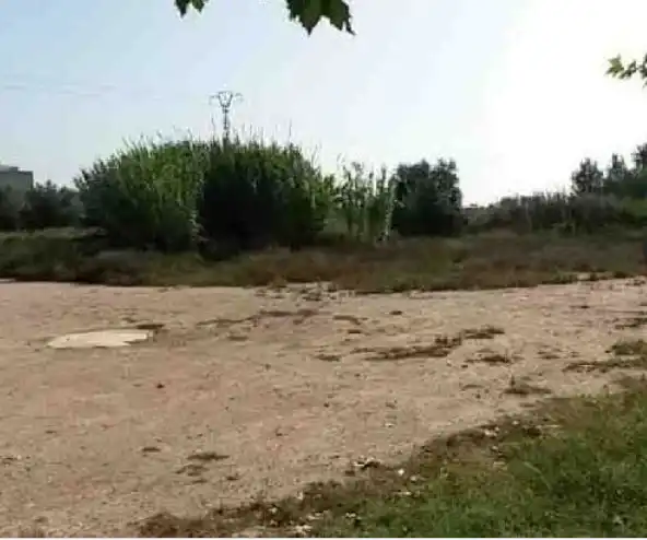 Rural land for sale in Sueca ciudad, imagen 2