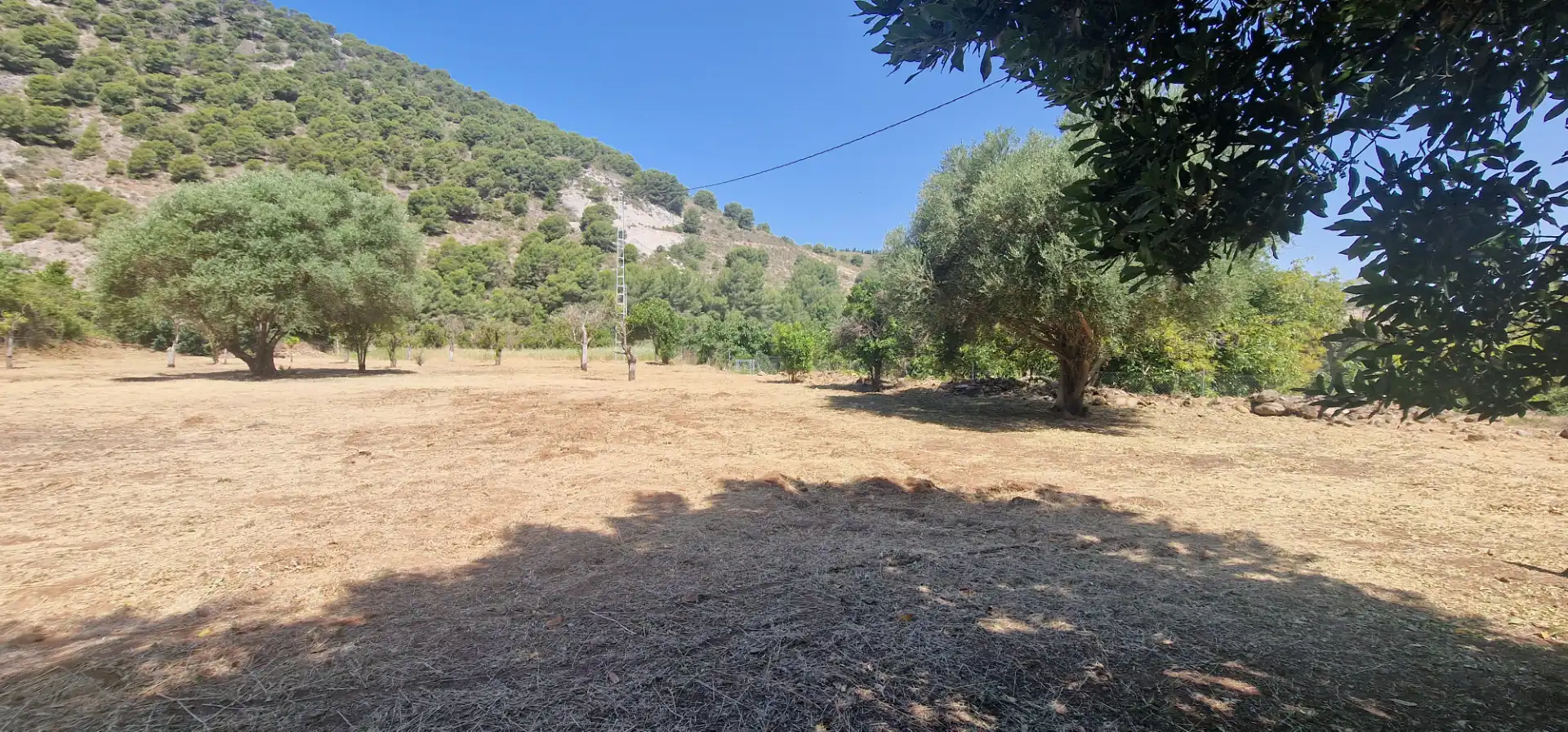 Finca rústica en venda en Coín