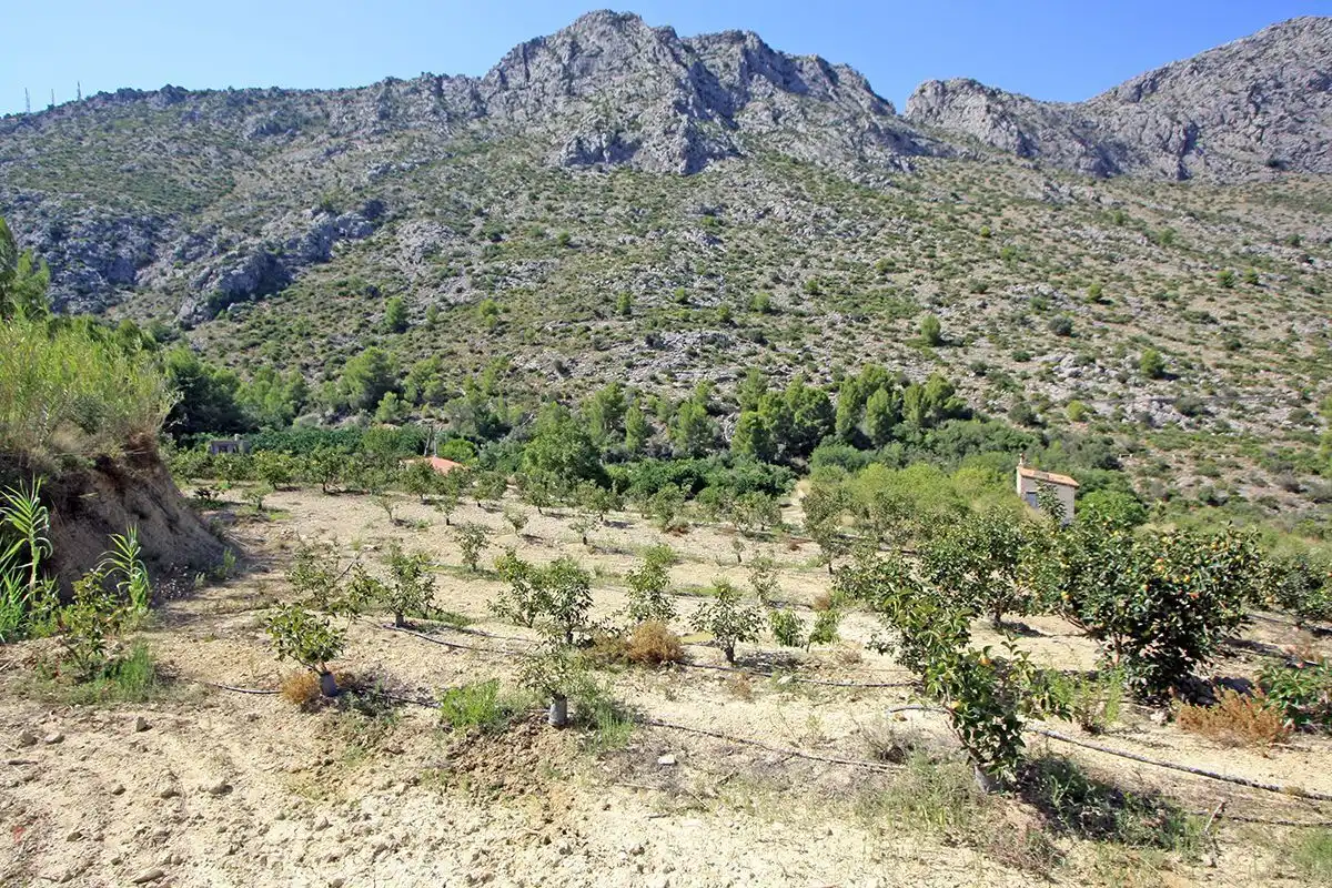 Terrenys i solars en venda a Beniarbeig