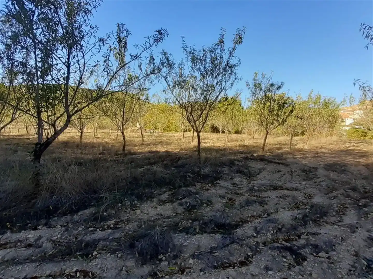 Terreno en venta en Algar de Mesa, Guadalajara