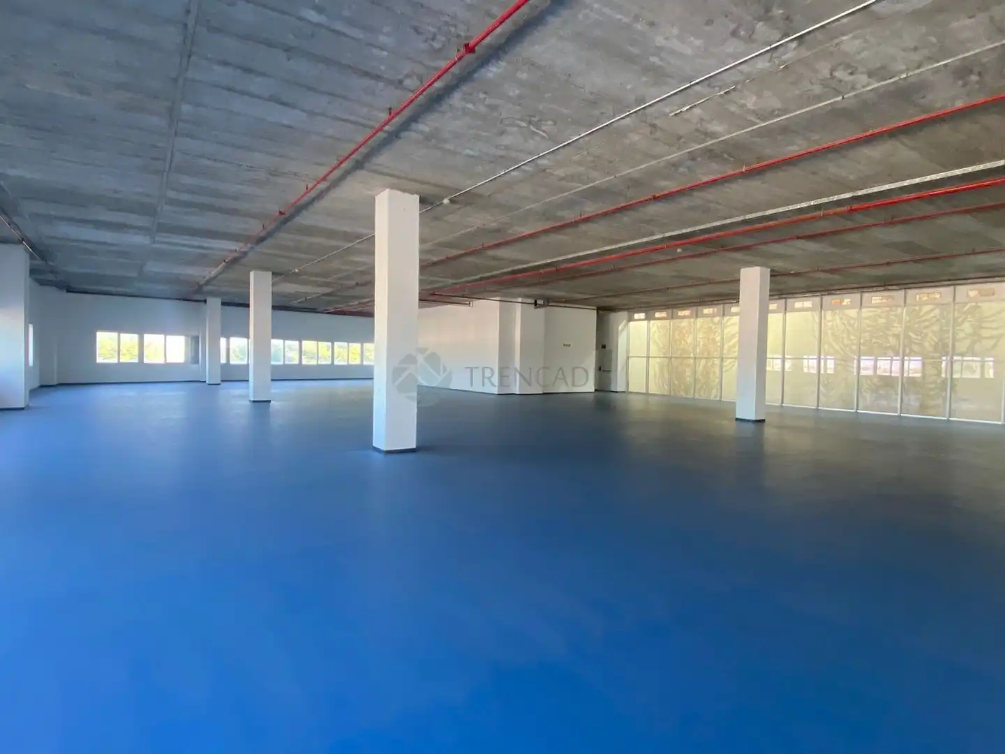 Gewerbefläche zum Verkauf in edificio el mundo, imagen 10