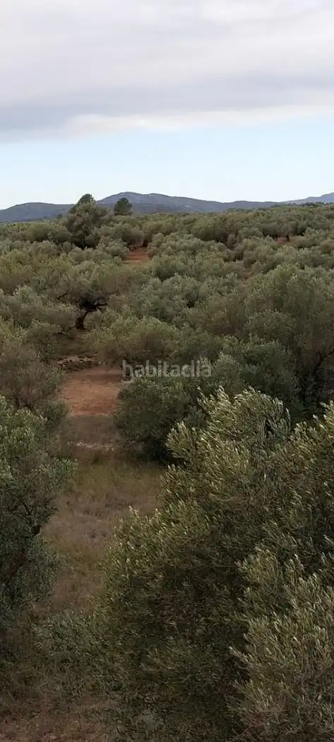 House for sale in Carrer Sant Miquel 9, imagen 4