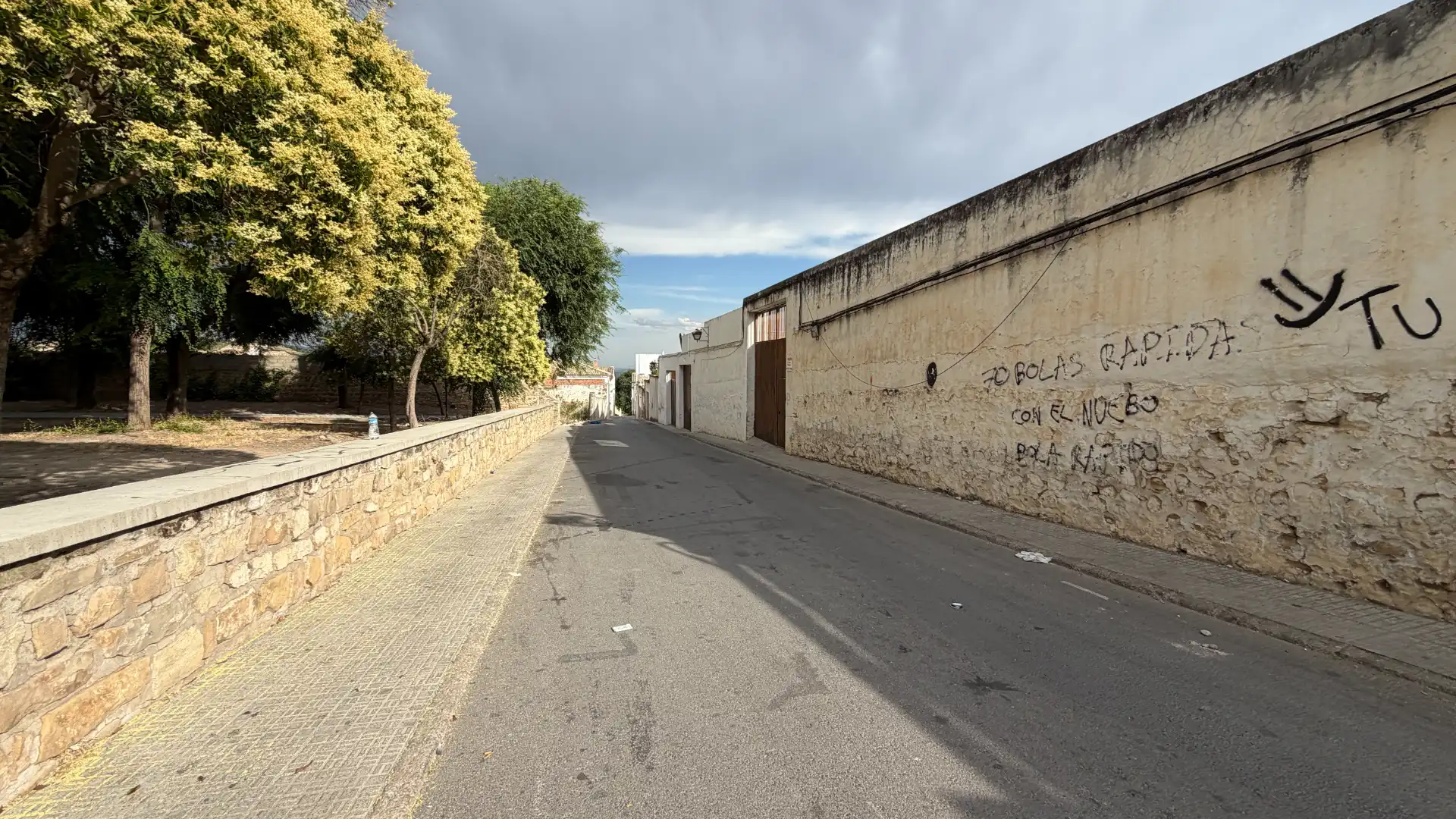 Grundstücke und Bauplätze zum Verkauf in Calle Ariza, imagen 3