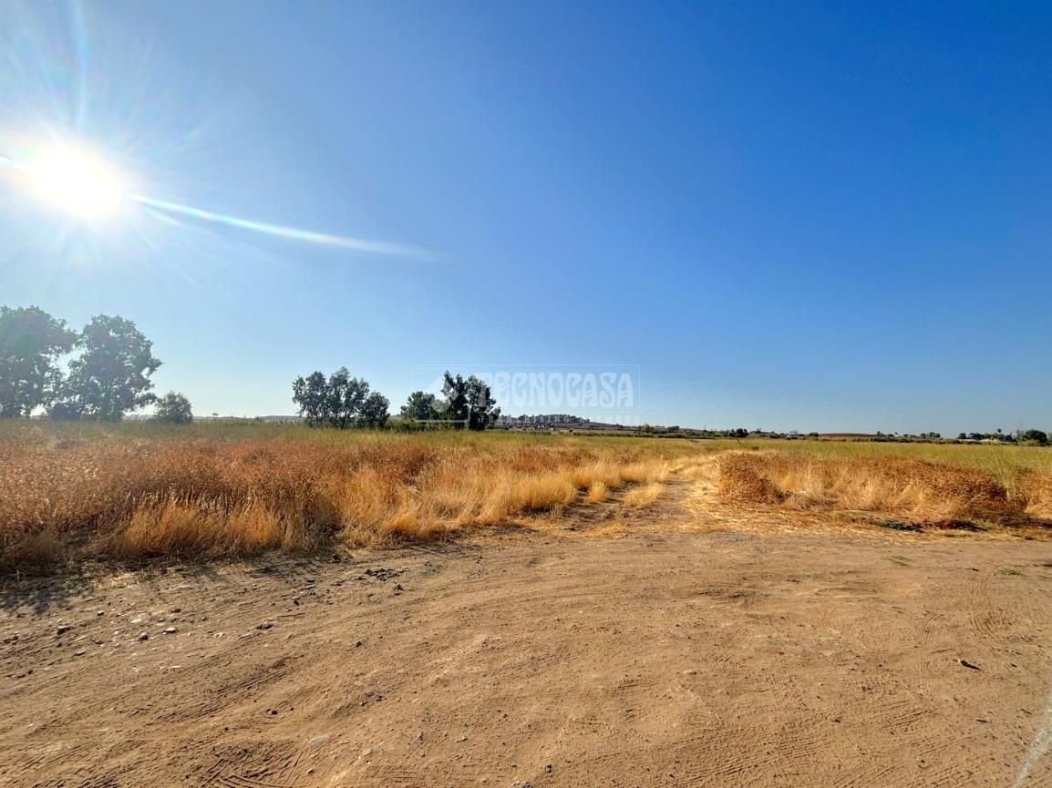 Terreno en venta en Badajoz Capital