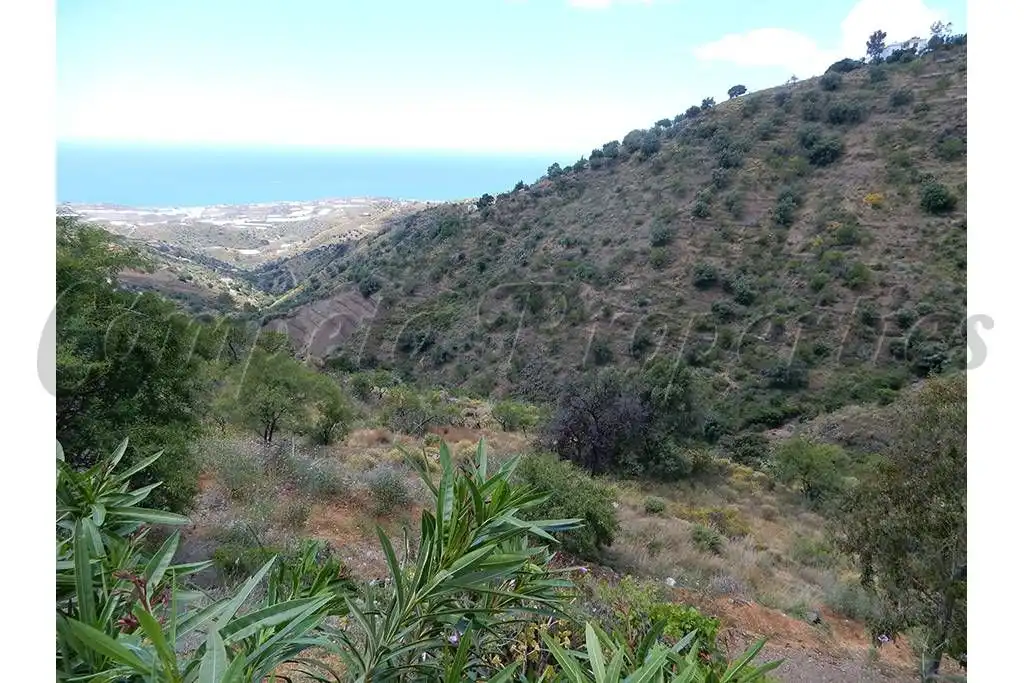 Terreny rústic en venda a Sayalonga, imagen 5