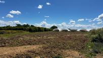 Finca rústica en venda en Los Palacios y Villafranca