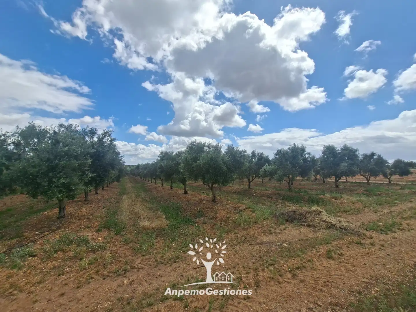 Terreno en venta en Palma del Río
