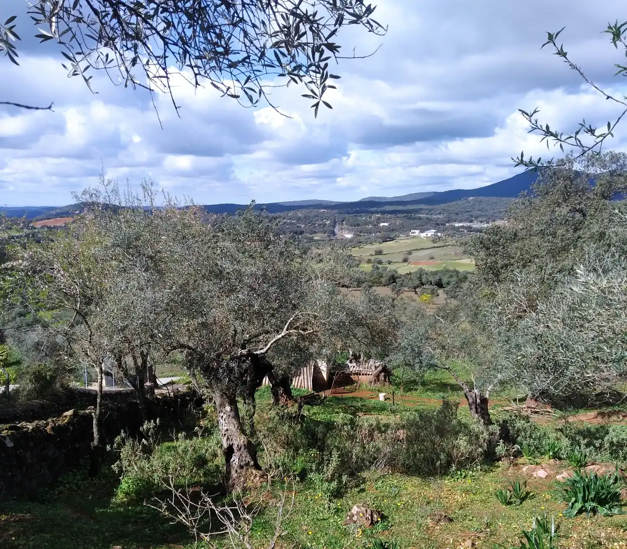 Terreni e lotti in vendita a Jerez de los Caballeros, imagen 16