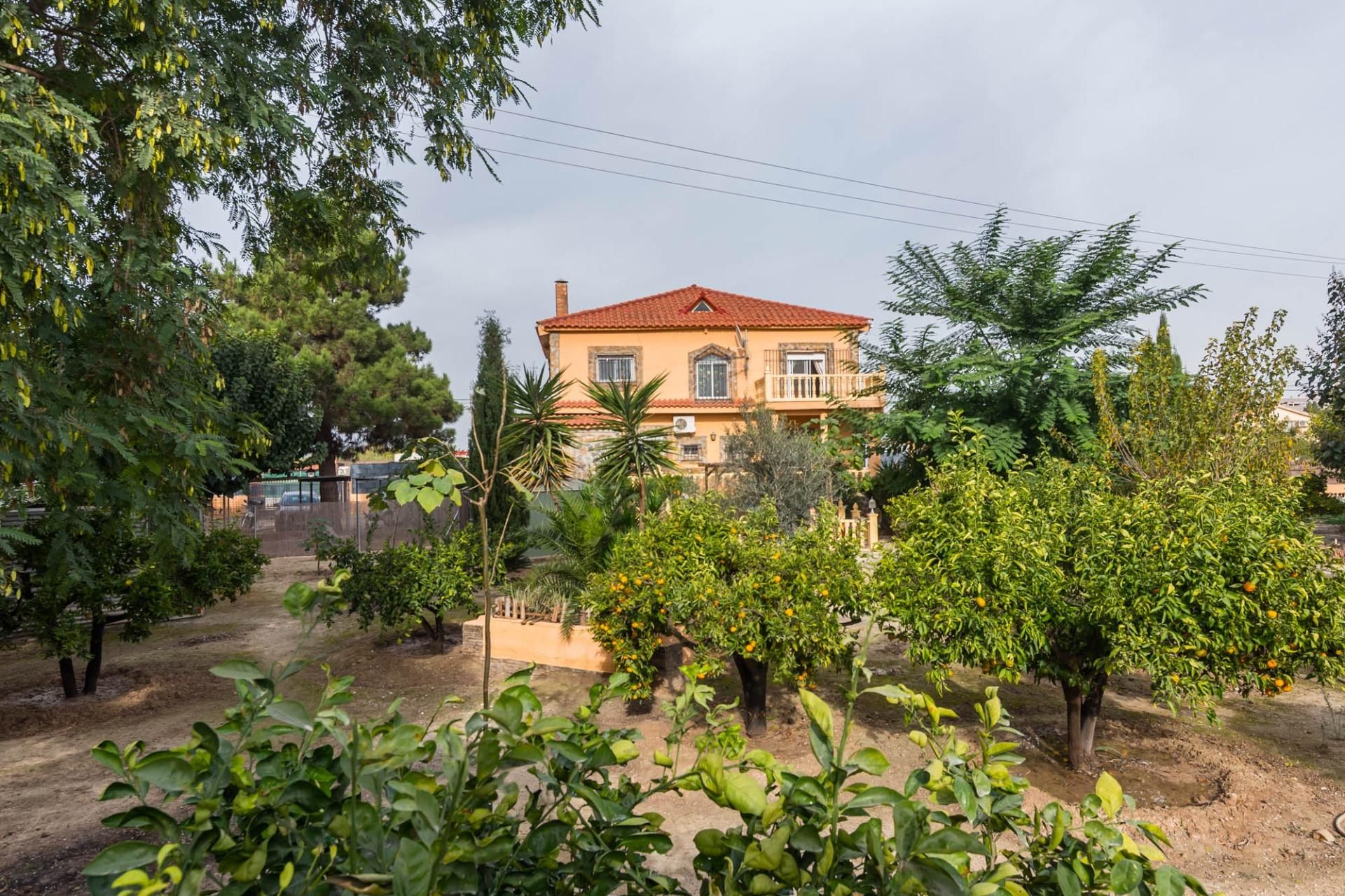 Vista exterior de Casa o xalet en venda en Molina de Segura amb Aire condicionat, Calefacció i Jardí privat