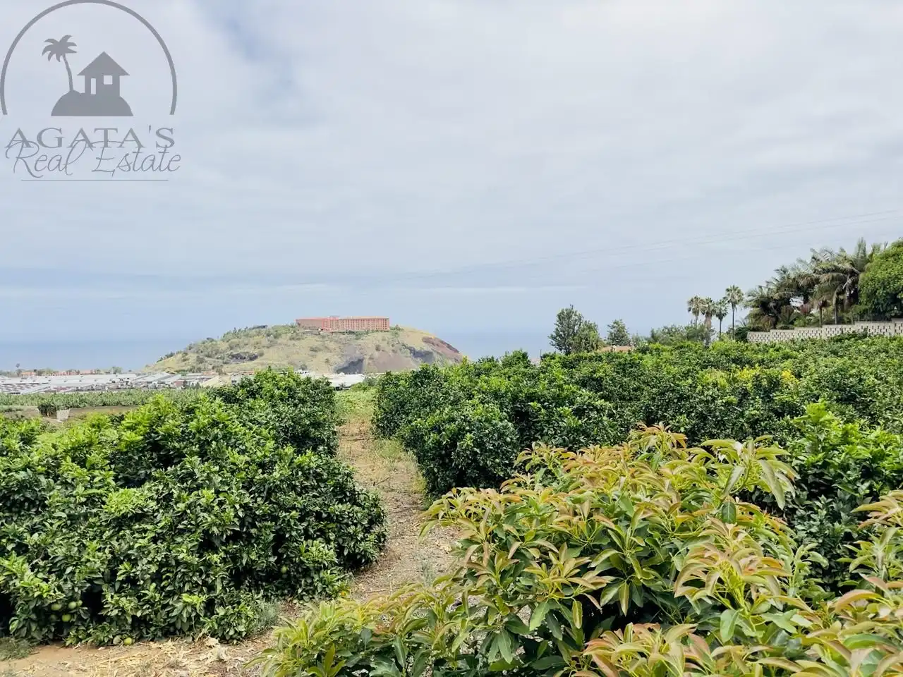 Finca rústica en venta en La Orotava con Jardín privado y Terraza