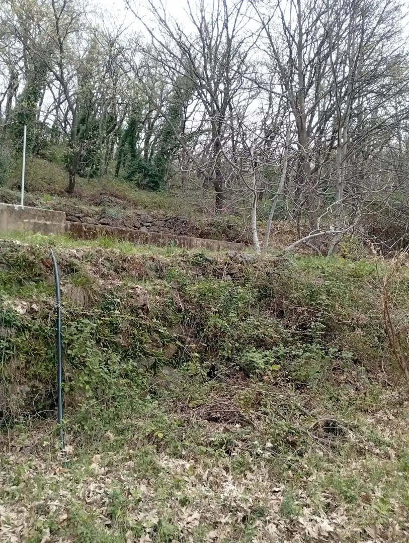 Terreni e lotti in vendita a Valverde de la Vera, imagen 35