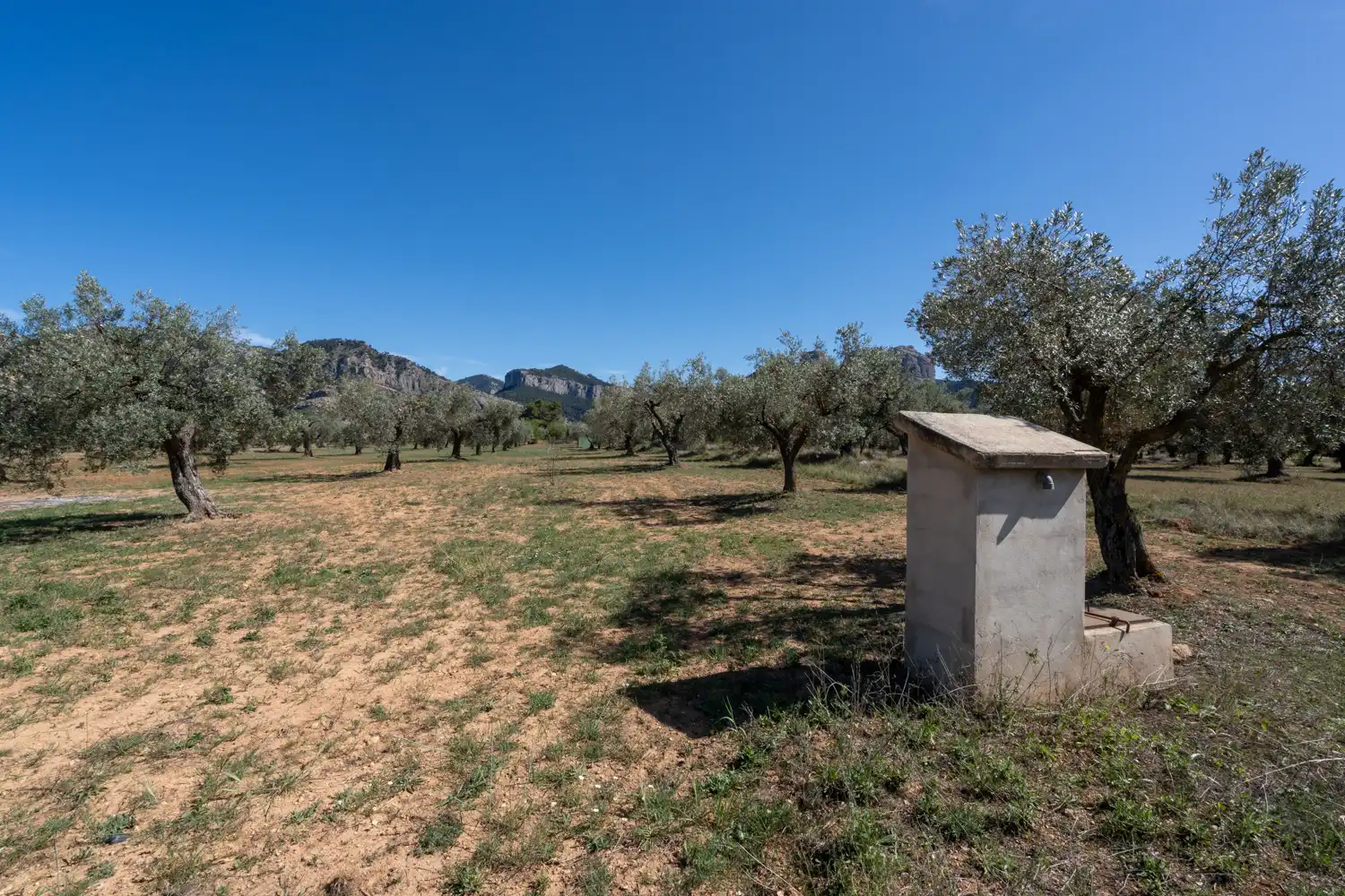 Rural land for sale in Raval dels Àngels 18, imagen 19