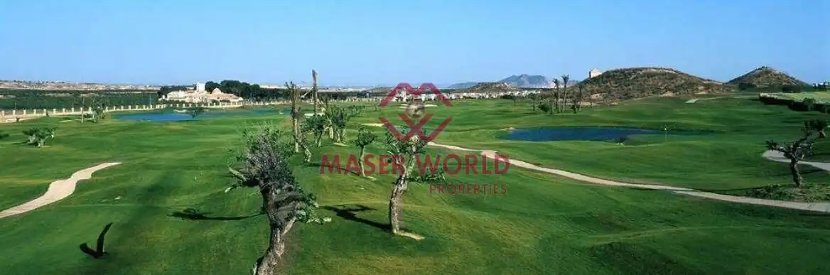 Adossat amb piscina en venda a Campo de Murcia, imagen 29