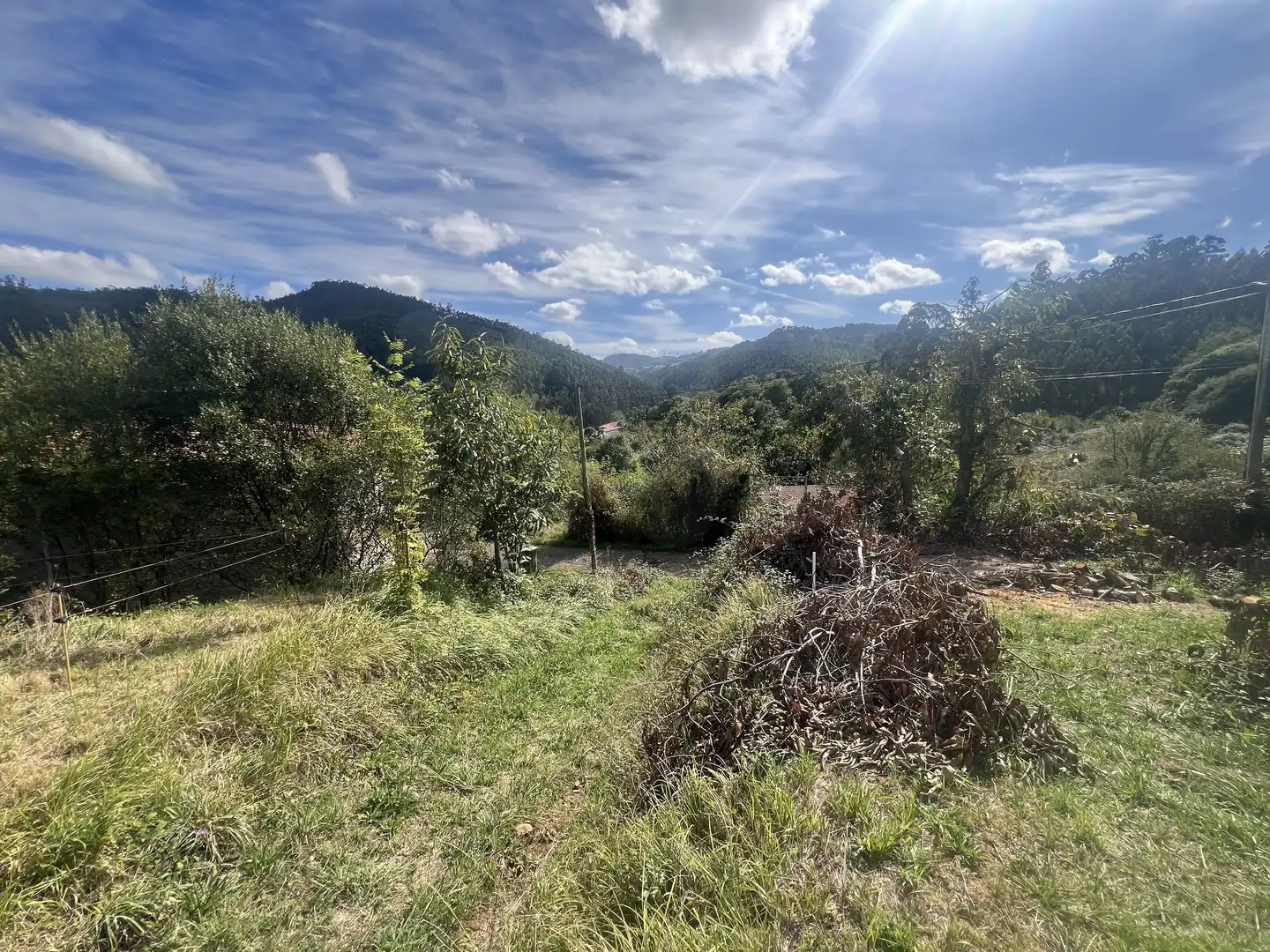 Lands and plots for sale in Pillarno, imagen 20