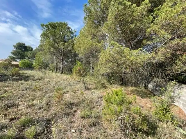 Lands and plots for sale in La Pobla de Claramunt, imagen 11
