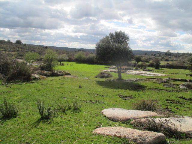 Finca rústica en Venta en San Felices de los Gallegos