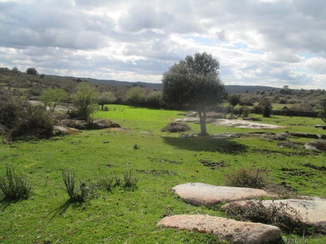 Finca rústica en venda en San Felices de los Gallegos
