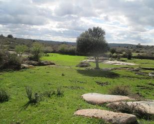 Finca rústica en venda en San Felices de los Gallegos