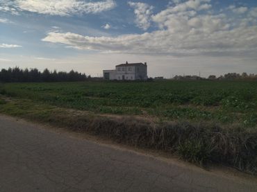 Terreny rústic en venda a Don Benito