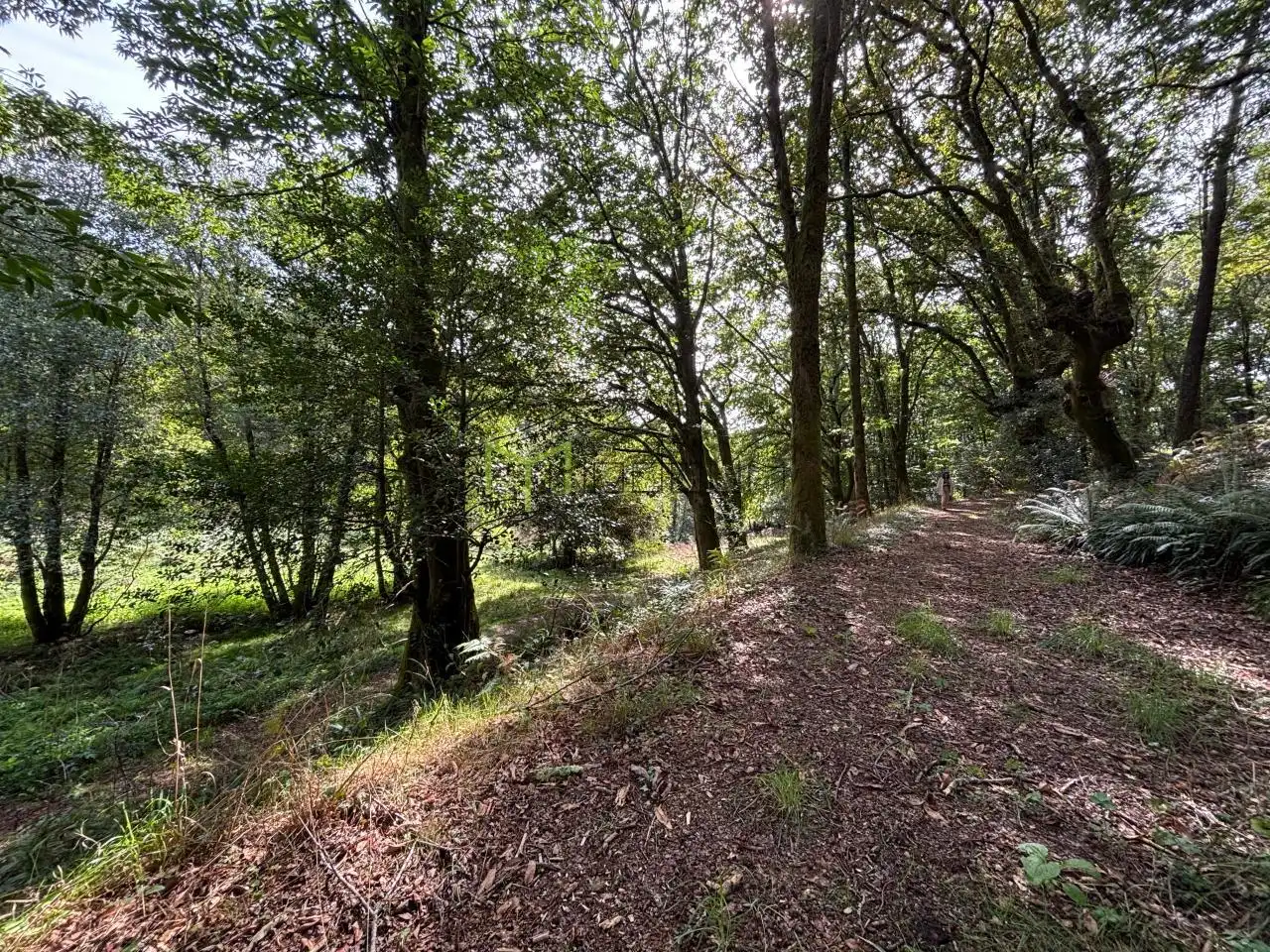 Finca rústica en venda en Ames amb Calefacció i Jardí privat